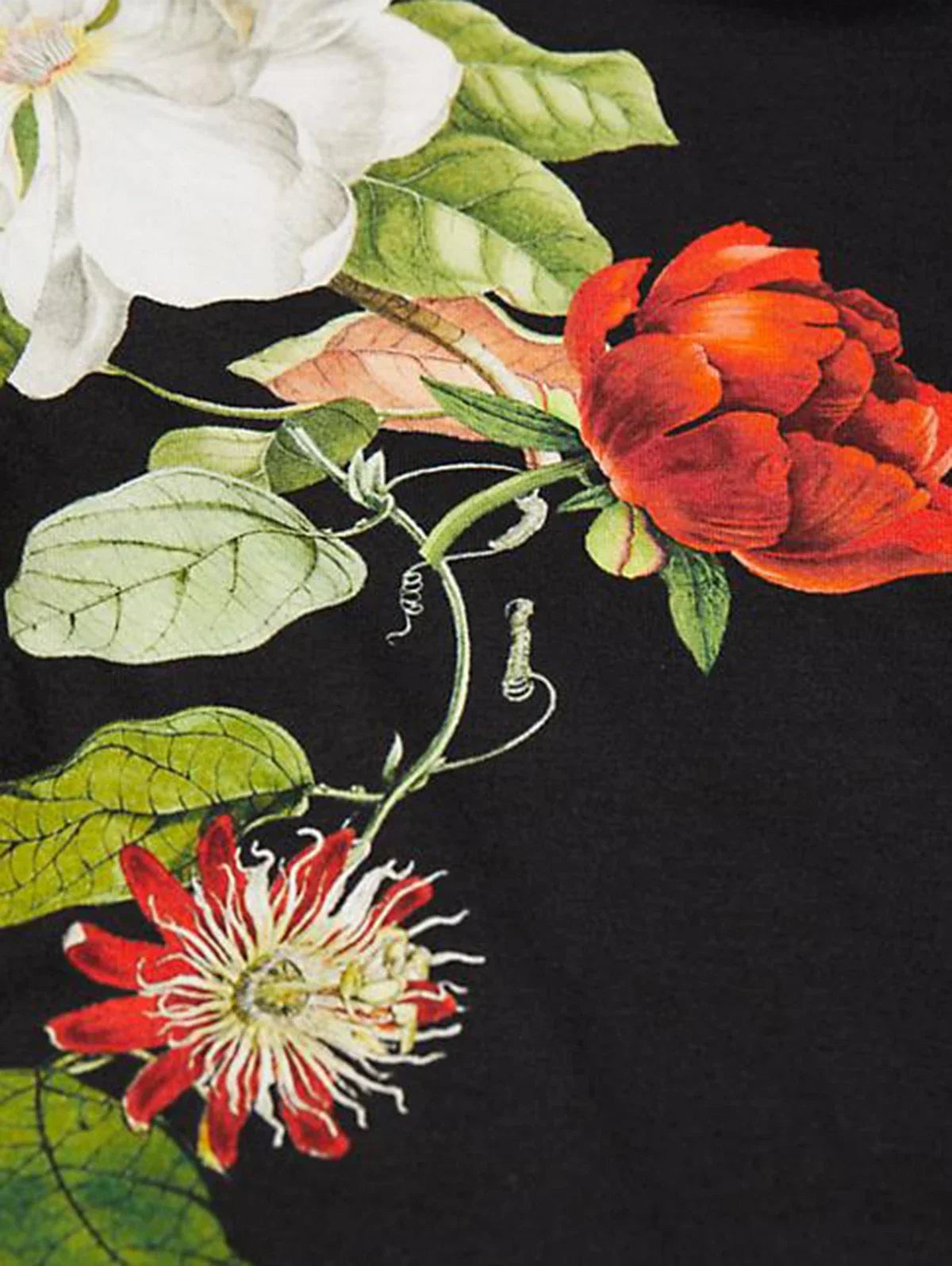 Sd71b1a660ce94926ac0529418eb7f6eba