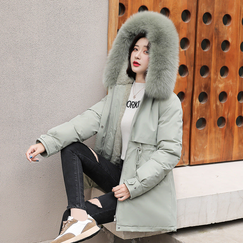 b06325ab-396a-4ae2-9961-1db80323cc63